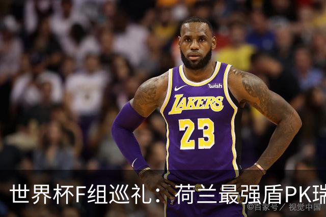 世界杯F组巡礼：荷兰最强盾PK瑞典犀利刀 日本短板明显